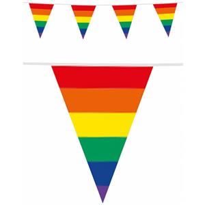 PartyXplosion Regenboog vlaggenlijn/vlaggetjes - 3 stuks - dubbelzijdig bedrukt - 10 meter -