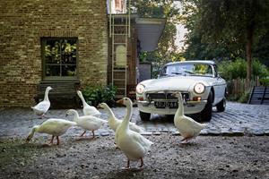 Good4fun Oldtimer rijden met high tea of picknick over de Veluwe