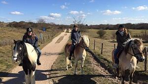 Good4fun Paard rijden in de duinen beginners