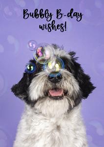 Catchy Images  Verjaardagskaart - hondje - bubbels