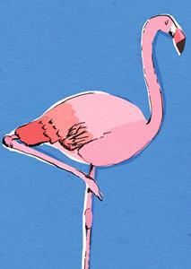Greetz  Verjaardagskaart - flamingo