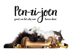 Catchy Images  Pensioenkaart - Kat