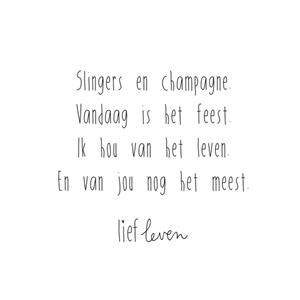  Kerstkaart - Hou van jou