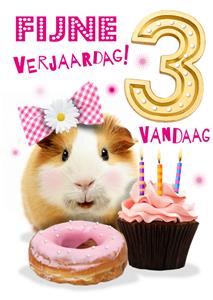 Emma Proctor  Verjaardagskaart - cavia - 3 jaar