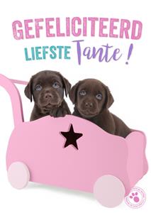 Studio Pets  Geboortekaart - Tante