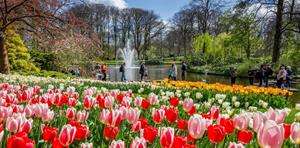 Travelcircus Bloemenpark Keukenhof incl. overnachting in een tophotel in Amsterdam