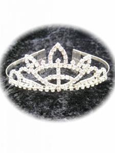 Carnaval-&feest accessoires: Diadeem met Strass