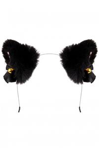 Diadeem kattenoortjes