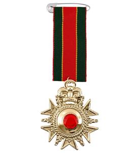 Gevechtsmedaille onderscheiding leger rond