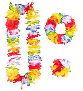 Feestwinkel: Verkleedset Fleur Hawaii