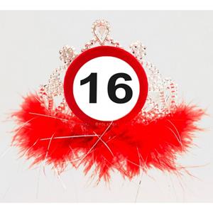 16 Jaar Tiara Verkeersbord