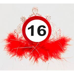 16 Jaar Tiara Verkeersbord