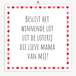 Tegeltje.nl Tegeltje spreuk beslist een lot uit de loterij