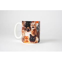 Gift Republic Crazy Cat Mok