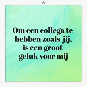 Tegeltje.nl Spreuken tegeltje collega geluk