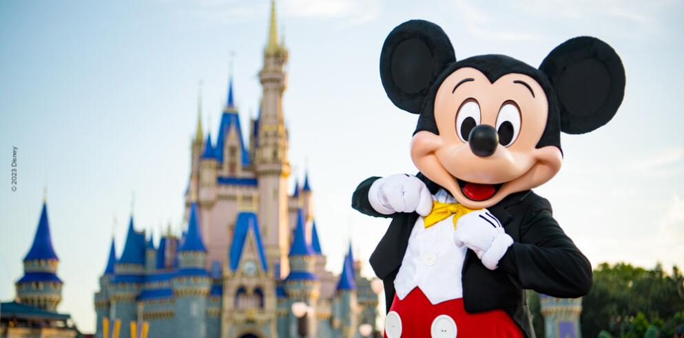 Walt Disney World Resort in Florida + hotelovernachting