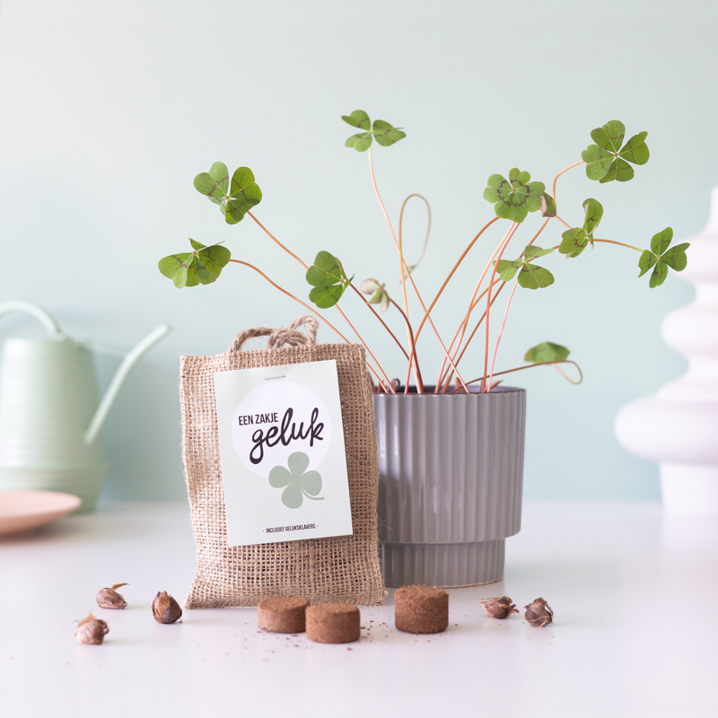 BloomPost Zakje Geluk | Brievenbus bloemenzaadjes | Cadeau met zaadjes door de brievenbus |  met aandacht voor de natuur