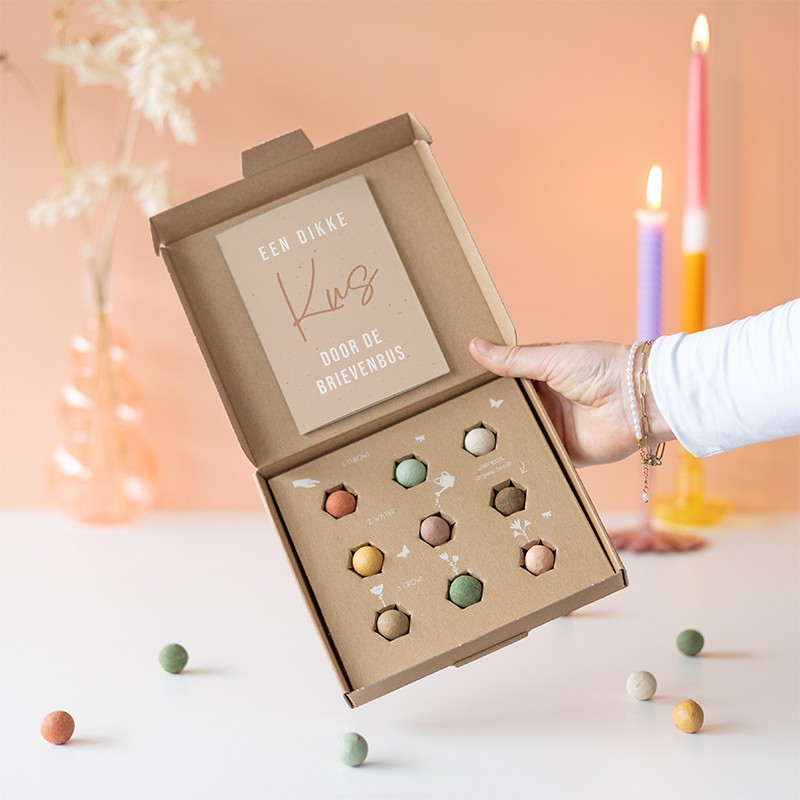 BloomPost Zaaibommetjes | Brievenbus bloemenzaadjes | Cadeau met zaadjes door de brievenbus |  met aandacht voor de natuur