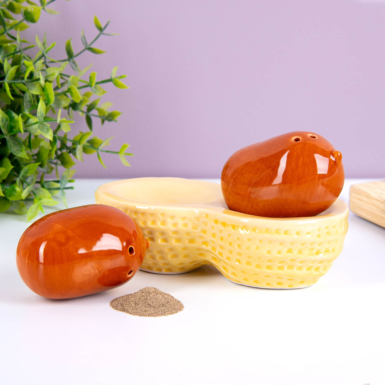 Fisura Pinda peper- en zoutstel