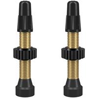 WTB TCS Presta Ventil (Paar) - Brass  - 34mm