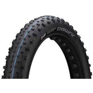 BUB Schwalbe 26-4.00 (100-559) Jumbo Jim Evolution Zwart