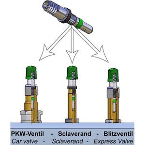 ventielen met stofkap AV/FV/DV zilver 10 stuks