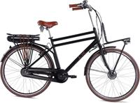 LLobe E-Bike »Rosendaal 3 Gent, 15,6Ah«, 7 Gang Shimano, Nabenschaltung, Frontmotor 250 W
