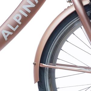 Alpina Spatbord set 20 Clubb rose gold matt