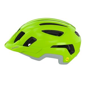 Alpina  Paranus Mips - Fietshelm, grijs
