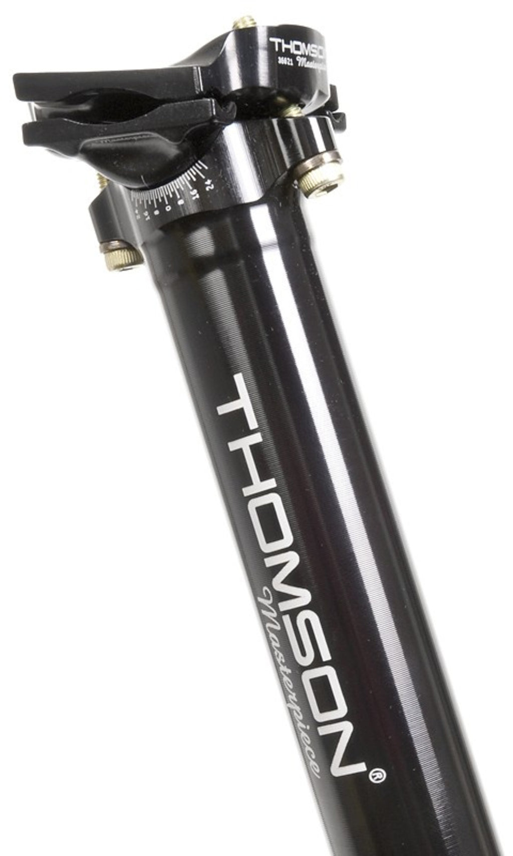 Thomson Zadelpen masterpiece