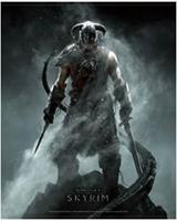 Gaya - Skyrim Wallscroll Dragonborn -