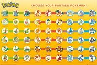 Pokemon Poster - Partner Pokemon (61cm x 91,5cm)