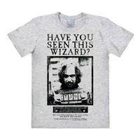 logoshirt Harry Potter - Have You Seen This Wizard - Easyfit - grey melange - Original licensed product