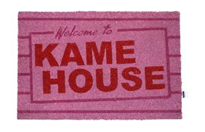 dragonball Dragon Ball - Kame House -