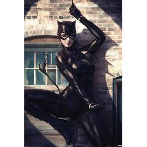 DC Comics Poster Pack Catwoman Spot Light 61 x 91 cm (5)
