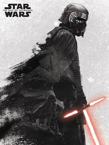 Pyramid International Star Wars the Rise of Skywalker Canvas - Kylo Ren and Vader (40x30cm)