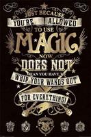 GB Eye Harry Potter Poster - Magic (61cm x 91,5cm)