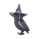 nemesisnow Beeldje Nemesis Now Owlocen 13,5 cm