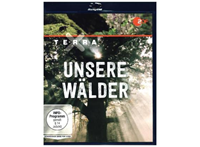 ZDF Video Terra X - Unsere Wälder