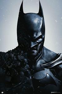 Batman Poster Arkham Batman 135