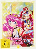 AV Visionen Wedding Peach - DX [2 DVDs]