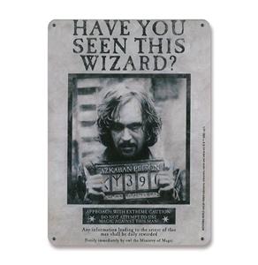 Harry Potter Tin Sign Have You Seen This Wizard 15 x 21 cm