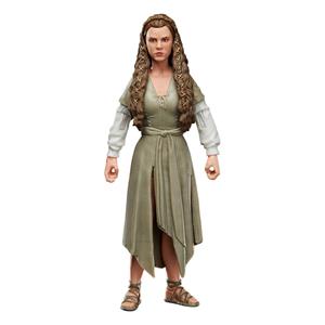 Hasbro Star Wars Episode VI Black Series Action Figure 2022 Princess Leia (Ewok Village) 15 cm