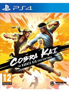 Maximum Games Cobra Kai the Karate Kid Saga Continues