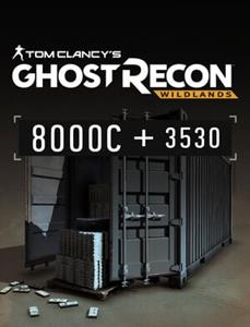 Ubisoft Tom Clancy's Ghost Recon Wildlands - 11530 CREDITS