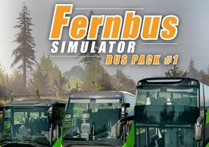Xbox Series Fernbus Simulator - Bus Pack 1 DLC EN Argentina