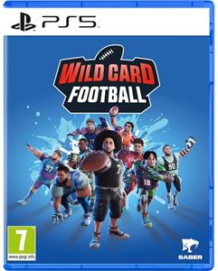 Saber Interactive Wild Card Football