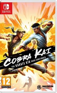 Maximum Games Cobra Kai the Karate Kid Saga Continues