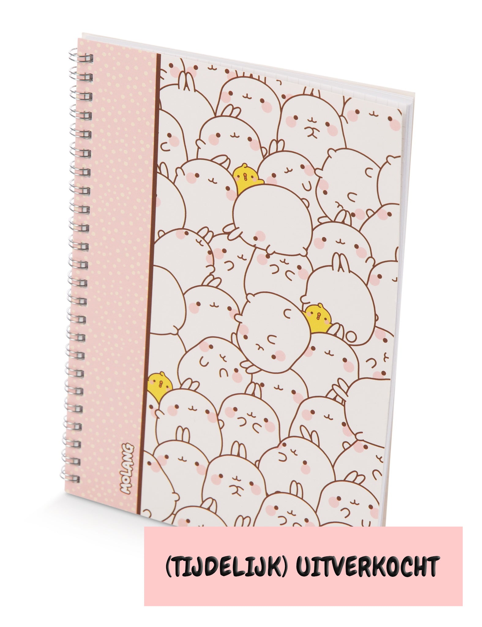Molang ringband A5 notebook ruitjes