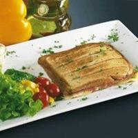 Fritel Bakplaten voor croques/sandwiches - 2 stuks